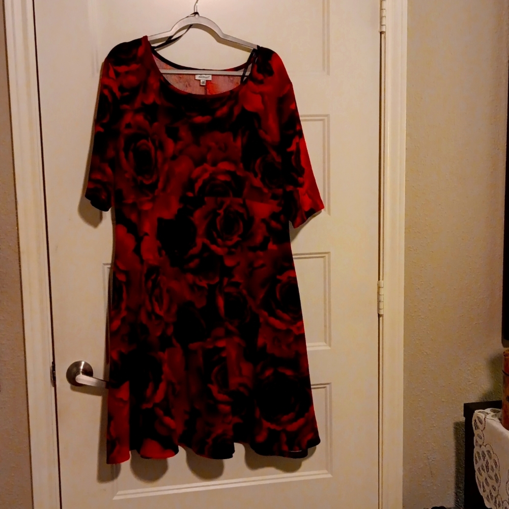 Dress The Avenue 22/24